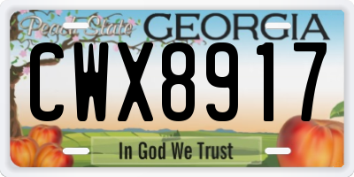 GA license plate CWX8917