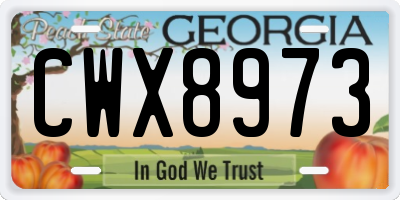 GA license plate CWX8973