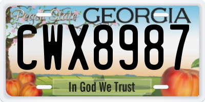 GA license plate CWX8987