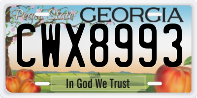 GA license plate CWX8993