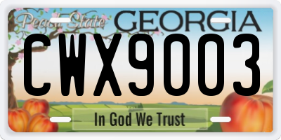 GA license plate CWX9003