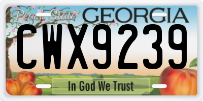 GA license plate CWX9239