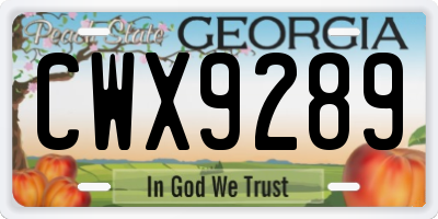GA license plate CWX9289