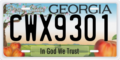 GA license plate CWX9301