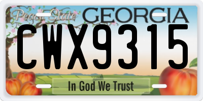 GA license plate CWX9315