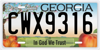 GA license plate CWX9316