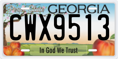 GA license plate CWX9513