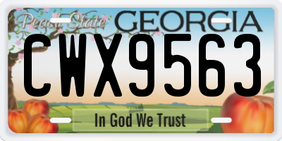 GA license plate CWX9563