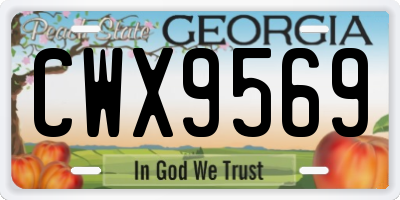 GA license plate CWX9569