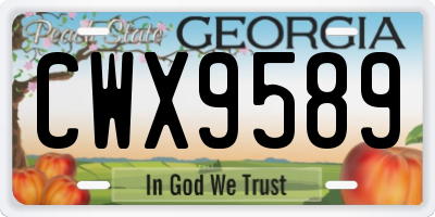 GA license plate CWX9589