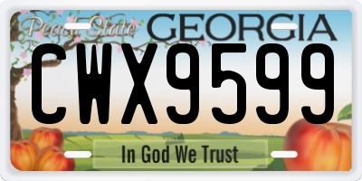GA license plate CWX9599