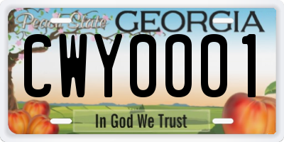 GA license plate CWY0001
