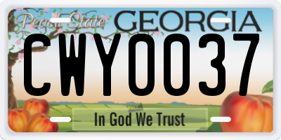 GA license plate CWY0037
