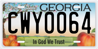 GA license plate CWY0064