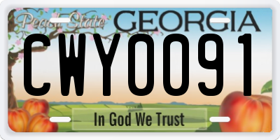 GA license plate CWY0091