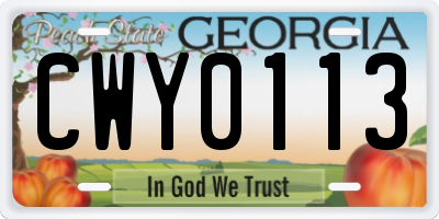 GA license plate CWY0113