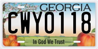 GA license plate CWY0118