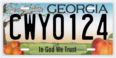 GA license plate CWY0124