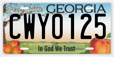 GA license plate CWY0125
