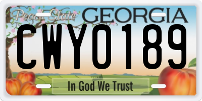 GA license plate CWY0189