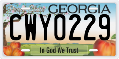 GA license plate CWY0229