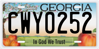 GA license plate CWY0252