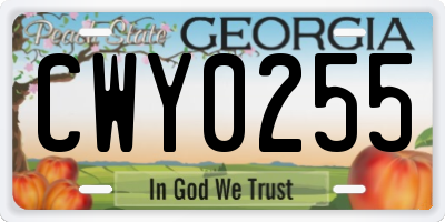GA license plate CWY0255