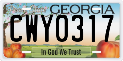 GA license plate CWY0317