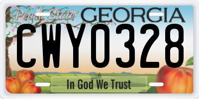 GA license plate CWY0328