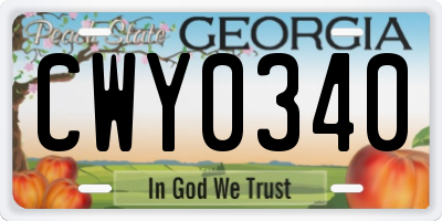 GA license plate CWY0340