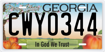GA license plate CWY0344