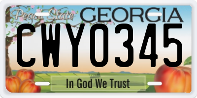 GA license plate CWY0345