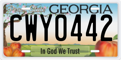 GA license plate CWY0442