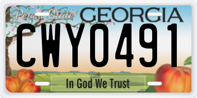 GA license plate CWY0491