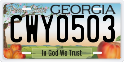 GA license plate CWY0503