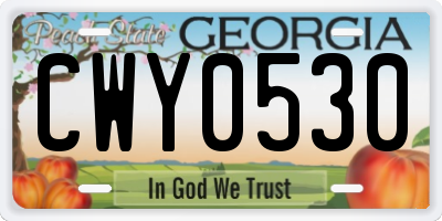 GA license plate CWY0530