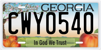GA license plate CWY0540