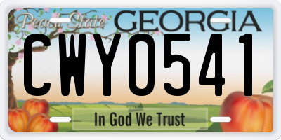 GA license plate CWY0541