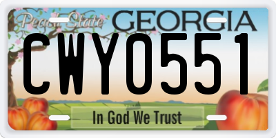 GA license plate CWY0551
