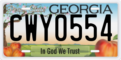 GA license plate CWY0554