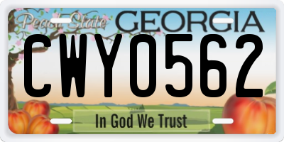 GA license plate CWY0562