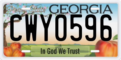 GA license plate CWY0596