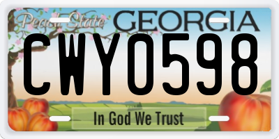 GA license plate CWY0598