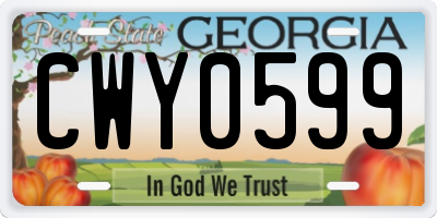 GA license plate CWY0599