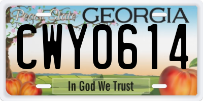 GA license plate CWY0614