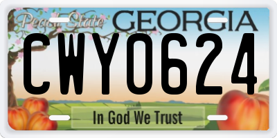GA license plate CWY0624
