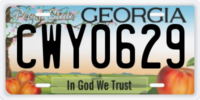 GA license plate CWY0629