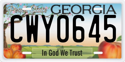 GA license plate CWY0645