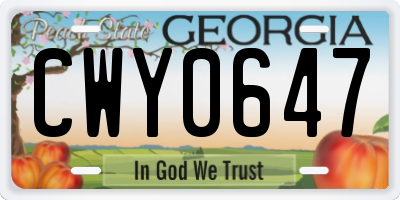 GA license plate CWY0647