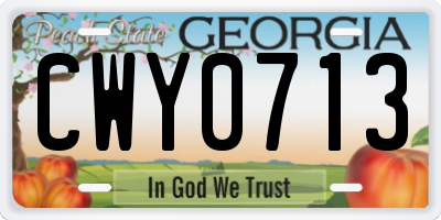 GA license plate CWY0713